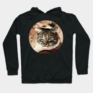 Daring floppy cat Hoodie